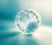 Blastocisto humano en laboratorio de fertilidad, ilustrando el fallo de implantación recurrente